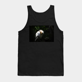 Egyptian Vulture Tank Top